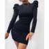Long-Sleeved High Waist Slim Solid Color Dress NSSCY115476