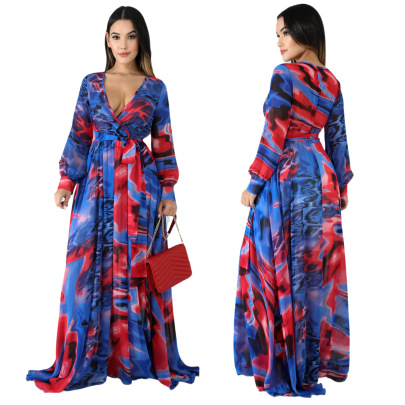 Long Sleeve Print V-Neck Pleated Dress NSMRF116551