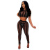 hot drill hollow short-sleeved mesh vest and pants perspective set  NSMYF118590