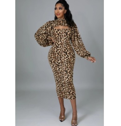 Leopard Print Puff Sleeve Top And Slip Dress Two Piece Set NSXLY119212