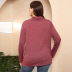 plus size solid color round neck long-sleeved top NSWCJ119972