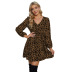 V-Neck Long Sleeve Leopard Print Dress NSJR116948