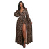 leopard print V-neck long sleeve slit long dress NSSFY121257