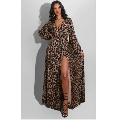 Leopard Print V-neck Long Sleeve Slit Long Dress NSSFY121257