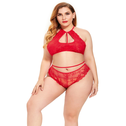 Plus Size Hanging Neck Backless Lace-up Solid Color See-through Underwear Set NSLXQ123084