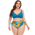 plus size print sling backless high waist bikini two-piece set NSYDS122077