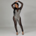 stitching long sleeve round neck tight perspective jumpsuit NSHBG122595
