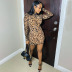 stand-up collar long sleeve tight leopard print dress NSHBG122638