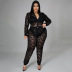 plus size long sleeve round neck slim solid color lace one-piece top and pant set NSLNW122657