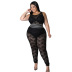 plus size sling high waist slim solid color lace see-through vest and pant set NSLNW122667
