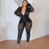 Plus Size Perspective Flocking Striped Tight long sleeve v neck Two-piece Set NSLNW122678