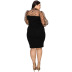 plus size long sleeve lace-up stitching leopard print perspective dress NSLNW122701