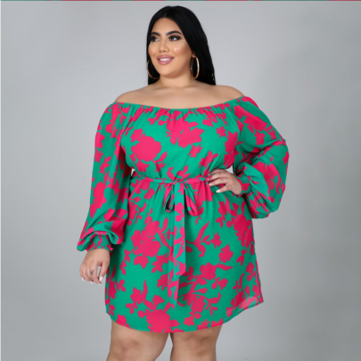 Plus Size Printing Long-sleeved Loose Lace-up Dress NSLNW122675