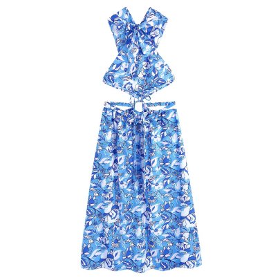 Blue Floral Halterneck Backless Long Dress NSLAY123187