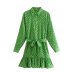 green geometric printed long-sleeved lace-up ruffled hem shirt dress  NSAM123231