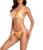 bikini de dos piezas con estampado de color degradado NSVNS117429