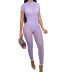 short-sleeved slim solid color perspective one-piece top and pant set NSLHC117478