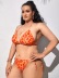 Conjunto de dos piezas de bikini con estampado de leopardo sin espalda y cuello colgante de talla grande NSVNS117578