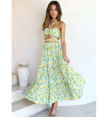 Floral Printing Halterneck Top Pleated Long Skirt Set NSHFC125644