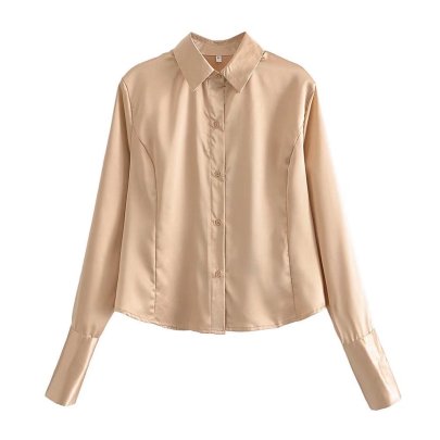 Silk Satin Single-breasted Solid Color Lapel Long Sleeve Shirt NSAM126251