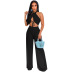 hanging neck backless lace-up wide-leg solid color see-through vest and pant set NSFH126666