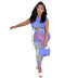 Sleeveless lapel Solid Color vest and tight Printing Mesh Pants Suit NSFH126667