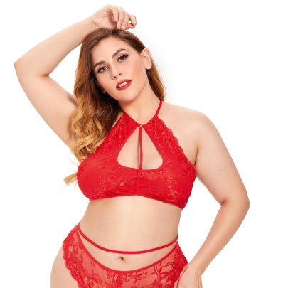 Plus Size Solid Color Embroidery Strap Bra And Panty Underwear Set NSLXQ127320