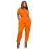 Short Sleeve round neck high waist solid color T-Shirt and pant Suit NSALI127572