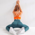 hip-lifting high-elastic high waist tight solid color yoga pant NSYWH127907