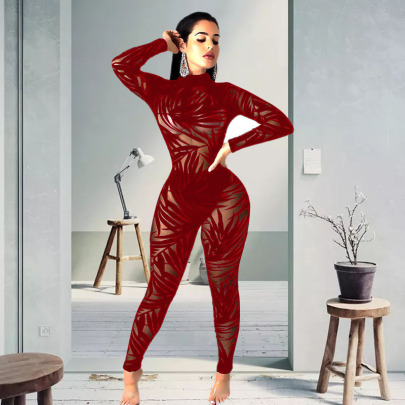 Mesh Hollow See-through Long-sleeved Tights Jumpsuit NSYMS129272
