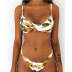 gradient color/sunflower/leaves printed swimwear set NSHTS129347