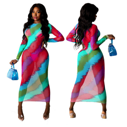 Colorful Printing Mesh See-through Long Sleeve Dress NSYMS129437