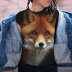 plus size fox Print Crew Neck short sleeve T-Shirt NSLBT129791