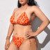 conjunto de dos piezas de bikini con estampado de leopardo y cordones sin espalda con cuello colgante de talla grande NSJHD124878