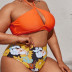 Conjunto de bikini de cintura alta sin espalda con cuello colgante hueco con estampado de talla grande NSJHD124885