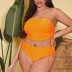 plus size tube top drawstring high waist solid color Tankini two-piece set NSJHD124942