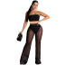 tube top slim high waist solid color perspective vest and pant set NSMYF125034