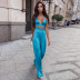 sling backless low-cut lace-up high waist wide leg solid color vest and pants suit NSCOK125305