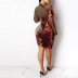 printed stitching pleated long-sleeved mesh sheath dress NSDLY125531