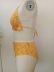 plus size hanging neck backless lace-up high waist floral bikini two-piece set NSJHD125554