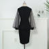 Round neck see-through mesh puff sleeve high-stretch dress NSKNE130546