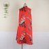 Print lace-up Stand Collar Sleeveless Loose Dresses NSKNE130787
