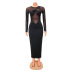 long-sleeved round neck stitching tight solid color perspective dress NSZH131302