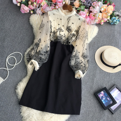 Long Sleeve Embroidery Stand Collar Stitching  Mesh Dress NSYXG131781