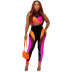 sleeveless round neck high waist tight color matching mesh vest and pant set NSFFE132145