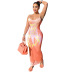 Print sling tight backless low-cut long Dress NSFFE132146