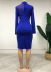 stitching long-sleeved high-waist slim solid color perspective dress NSKNE129720