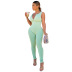 threaded zippr solid color sleeveless tight backless jumpsuit NSSME129730