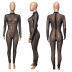 round neck long sleeve tight color matching see-through jumpsuit NSSME129746