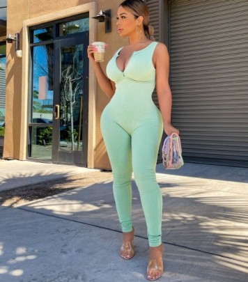Threaded Zippr Solid Color Sleeveless Tight Backless Jumpsuit NSSME129730